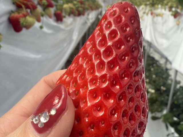 傫ȂHׂȂĂ܂_TS^jq