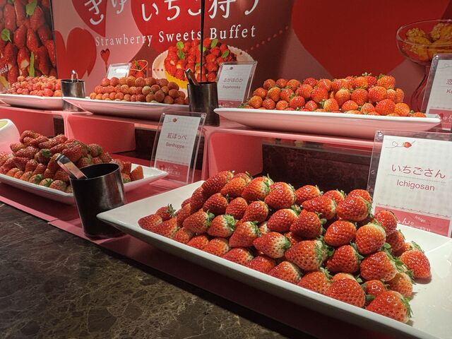 ������5���_���s�Z���`�����[�z�e���@�I�[���f�C�_�C�j���O�@���W���E