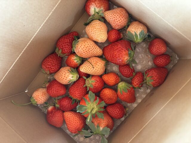 ���Ԃ�Ȃ̂����������ł����Â������ł��I_�_Life�������̑�