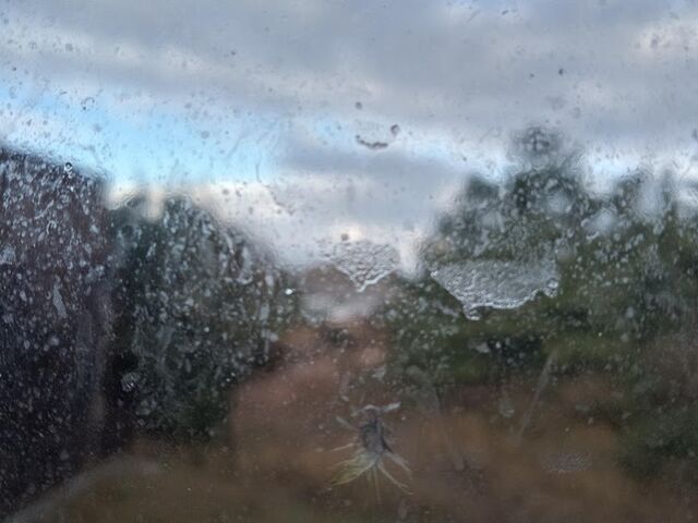 ���r�[����̓��{�C�ł�_�O�㉷��@�͂����Ǒ�