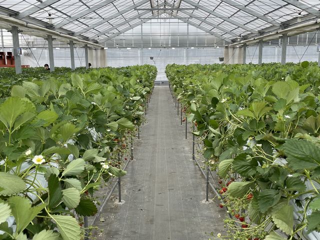 �n�E�X���̗l�q_�n糂�������