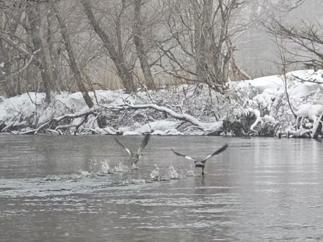��̒��̋��H��͂ƂĂ��������ł��A��������ї��̂����܂����B_BLACK RIVER