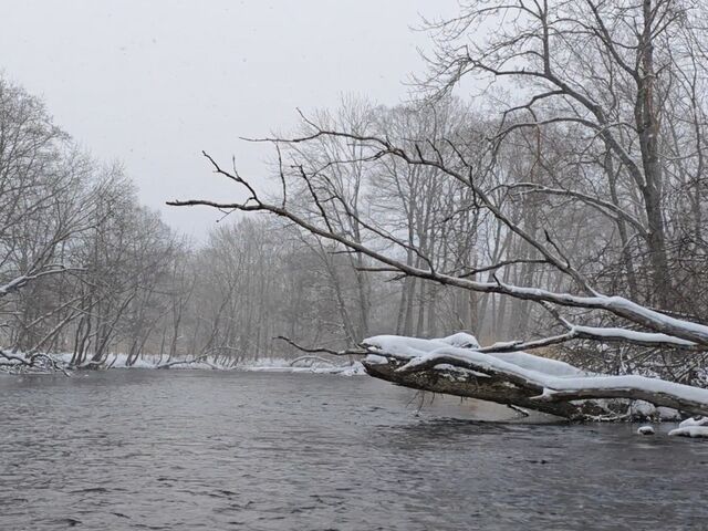 ��̒��̋��H��͂ƂĂ��������ł�_BLACK RIVER