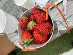 䂩̌(䂢)t@[ւ̓eʐ^1