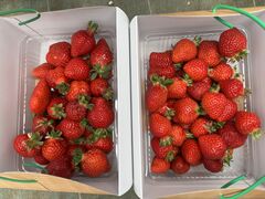 悳񂳂̂̂ւ̓eʐ^1