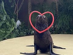 ҂`ς̃}NZ ANAp[Niւ̓eʐ^1