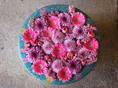 jR񂳂̈bώRւ̓eʐ^1