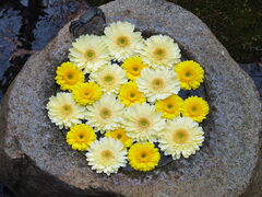 jR񂳂̈bώRւ̓eʐ^3