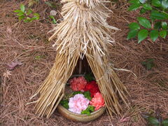 jR񂳂̈bώRւ̓eʐ^4