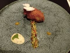 �R�R����̃q���g���L���ւ̓��e�ʐ^1