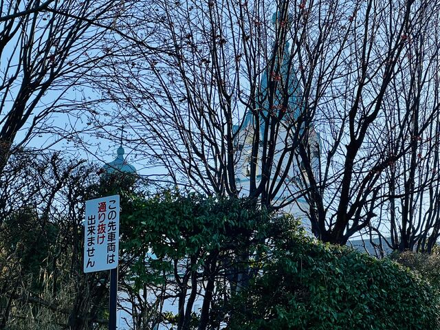 ���كn���X�g�X������_���كn���X�g�X������