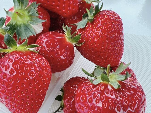 �傫���C�`�S���������C�`�S���Â��Ĕ������������ł��I_�x���[�Y�t�@�[���@FUSHIMI