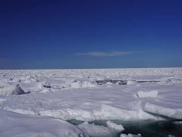 ��������l�܂������X�ŉ��ɏo�邱�Ƃ͊���Ȃ��������A�l�����߂Ă̕X�������q�߂܂����B_�m���A�E�g�h�A�K�C�h�Z���^�[