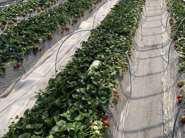 �܂��܂���������^���ԂȂ�����������܂�_䕉����߃n�E�X