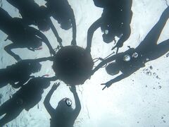 R̐Ί_ ADVENTURE PiPiւ̓eʐ^1