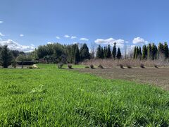 Ȃ̃iJW}t@[ ▼̗ւ̓eʐ^2