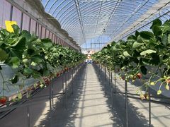 Ȃ̃iJW}t@[ ▼̗ւ̓eʐ^3