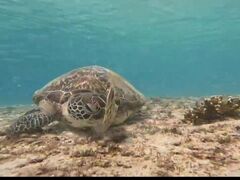 Ȃ񂳂CHURA{Óւ̓eʐ^1