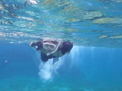 ܂񂳂nico {Óւ̓eʐ^1