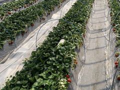 [ڂ䕉߃nEXւ̓eʐ^3