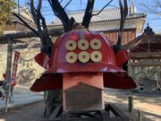 �\�E�\�E��������c�_�Ђ̓��e�ʐ^1