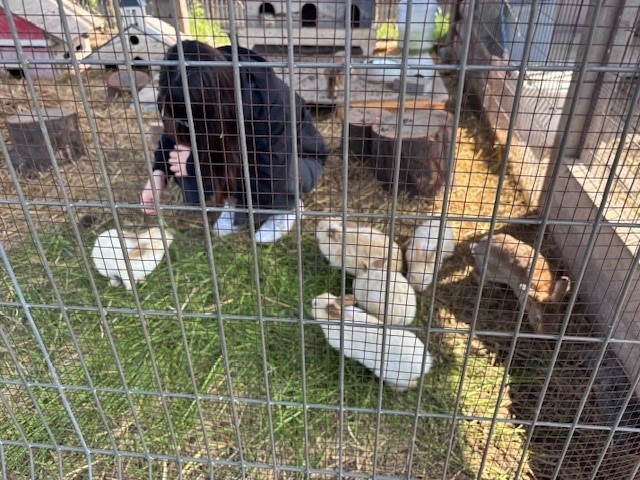 �H�~�����Ől���������E�T�M�B_����_��