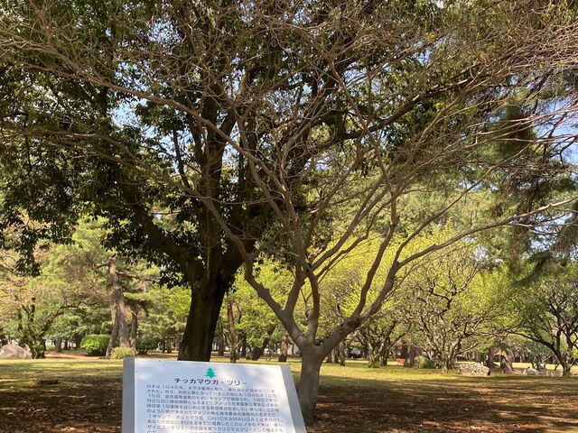 �ʕ{����_�ʕ{����