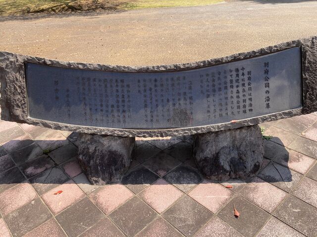 �ʕ{����_�ʕ{����