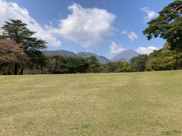 �ʕ{����_�ʕ{����