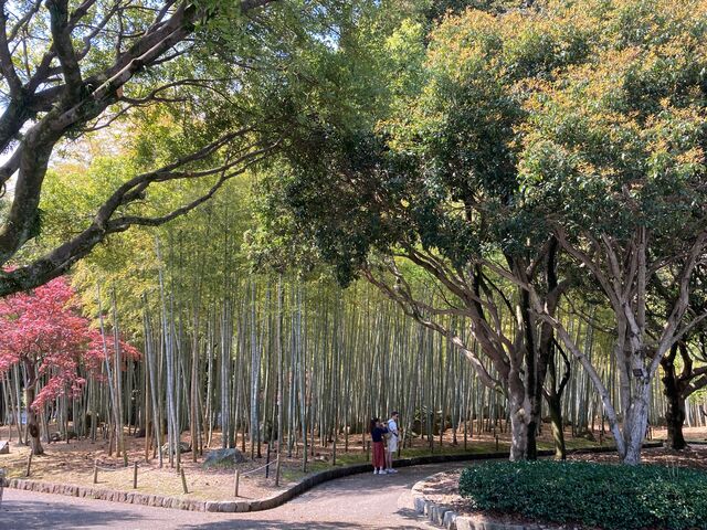 �ʕ{����_�ʕ{����