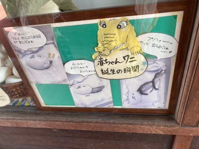 �S�R�n��_�S�R�n��