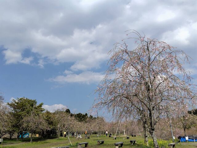 �������� ��������̗�