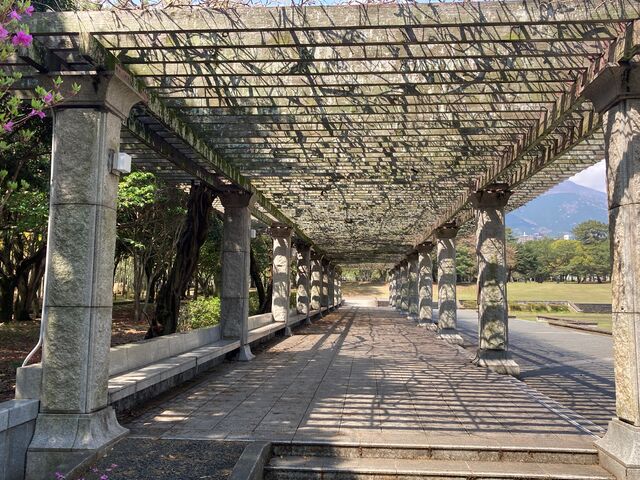 �ʕ{����_�ʕ{����