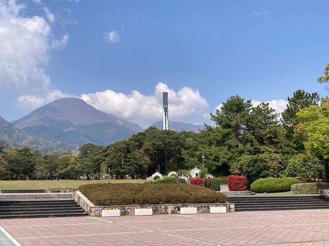 �ʕ{����_�ʕ{����