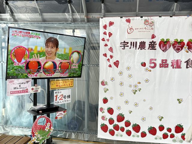 ����ŗ�����m�F�ł��Ă킩��₷���ł�_�F��_�Y