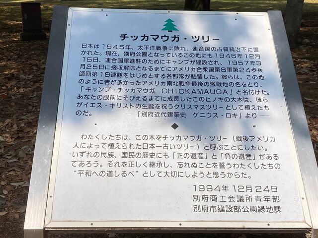 �ʕ{����_�ʕ{����