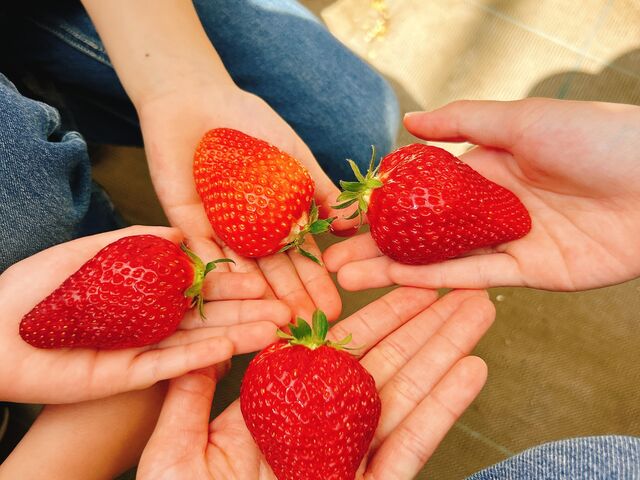 ��̂Ђ�T�C�Y�̑傫�Ȃ�����(^^)_�͖{�t�@�[����������