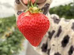 iJo[̂܃x[1ւ̓eʐ^1