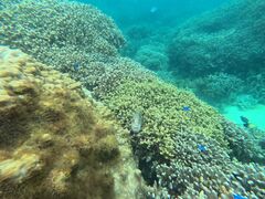 yukina̐Ί_ ADVENTURE PiPiւ̓eʐ^1