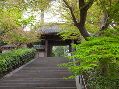 �j�R����񂳂�̉~�o���ւ̓��e�ʐ^1