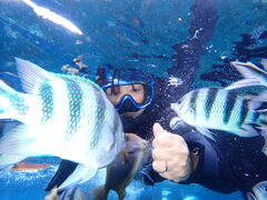 ؂Z̖` ꑍAEghAcA[Xւ̓eʐ^1