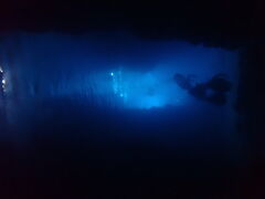 ؂Z̖` ꑍAEghAcA[Xւ̓eʐ^2