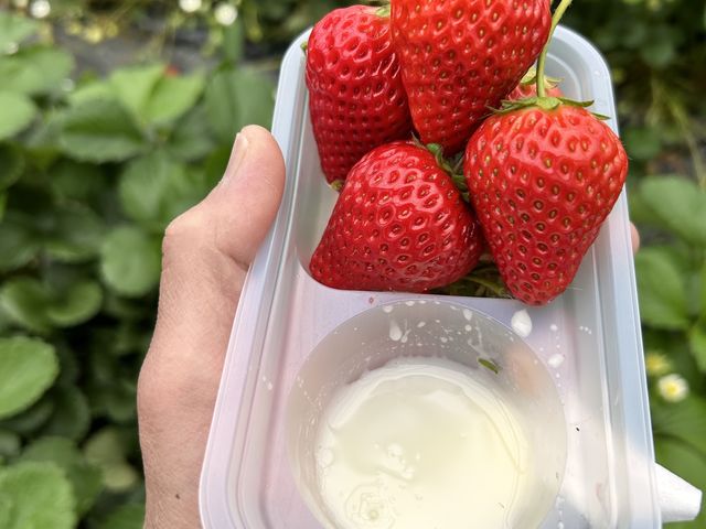 �H�׉߂����Ⴂ�܂�_�ÎR�_��