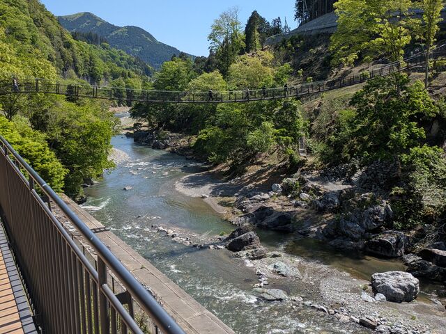 �E�b�h�f�b�L�̃e���X����͌k�J�ƌk������������Ă���܂��B_���̉w ���t�̗�