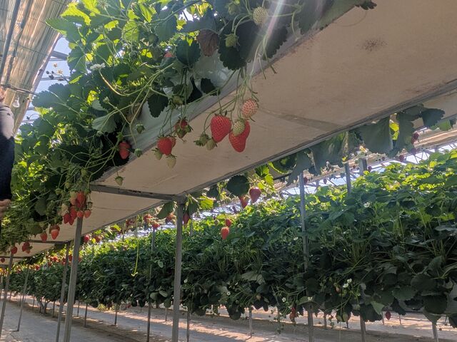 ��ޖL�x_�x�ÃA�N�A�t�@�[��