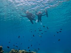 ���[�����isola blue�i�C�]���u���[�j�ւ̓��e�ʐ^1