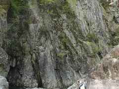 Drops OilC`[cA[̎ʐ^1