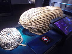 ��������񂳂�̊C�m�������ւ̓��e�ʐ^5