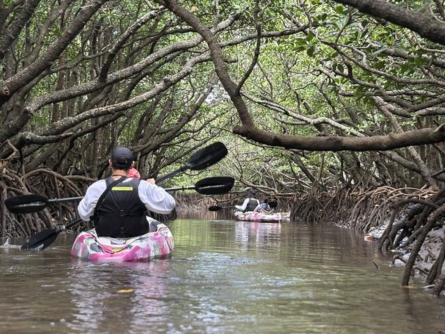 ���𐟂܂���Ǝ��R�̉����������Ė�����܂����B_�Ί_�� �C�c�A�[