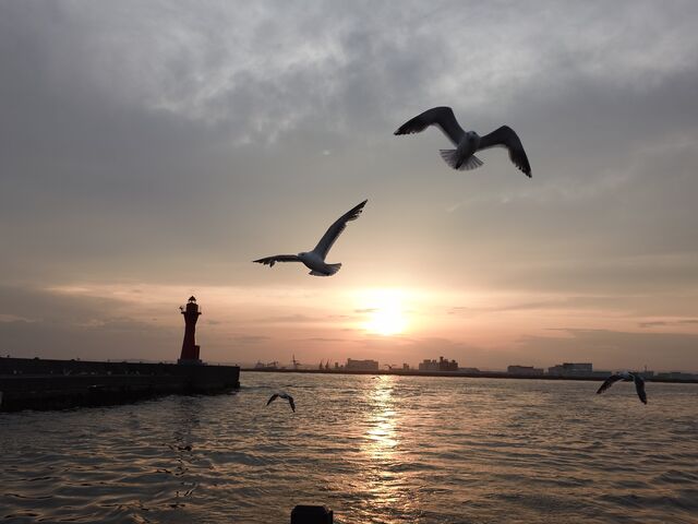 �[�z�Ɍ������Ă܂�����������̓��؂͊C��Ȃ�ł́I
���񌩂Ă݂Ă��������I�I_���H�[���ό��N���[�Y�D�V�[�N���C��